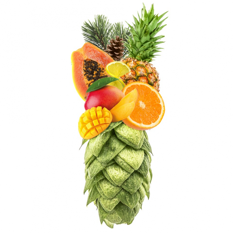 Produkt - Chmel Azacca (USA)