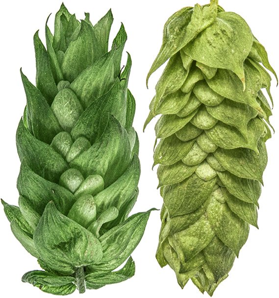 Podkategorie - Chmelové blendy